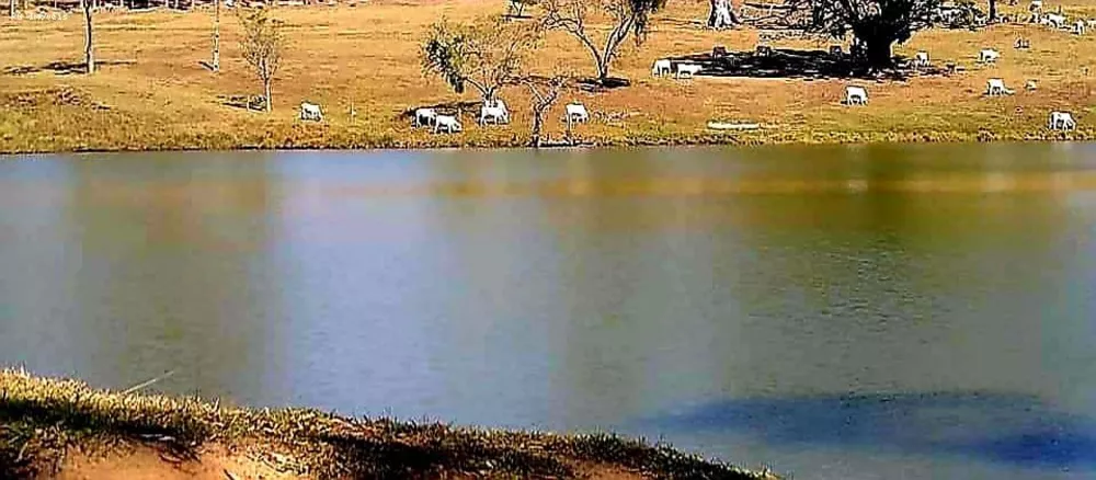 Fazenda, 301 hectares - Foto 2