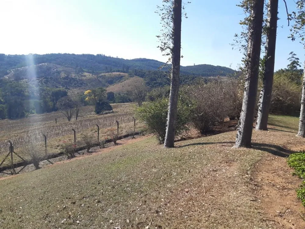 Fazenda, 301 hectares - Foto 11