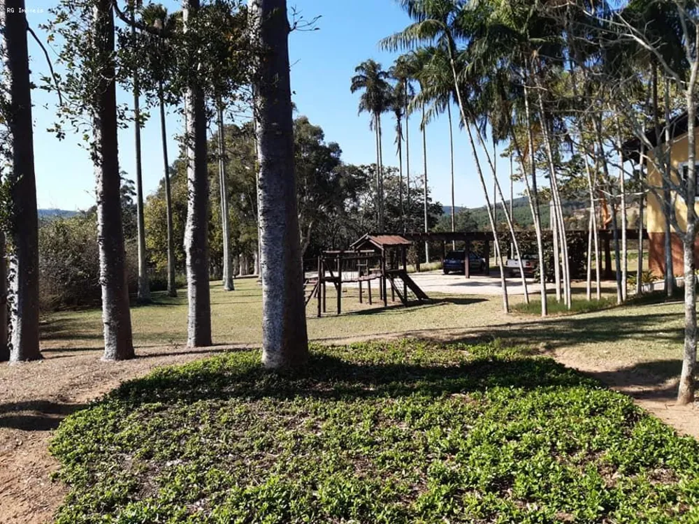 Fazenda, 301 hectares - Foto 9
