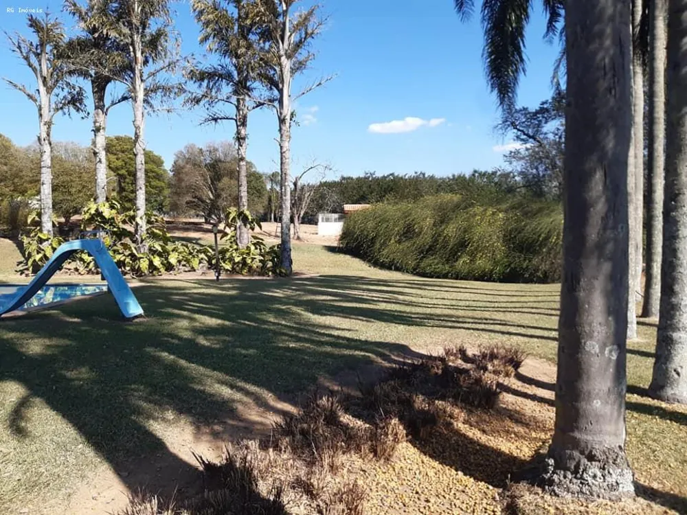 Fazenda, 301 hectares - Foto 10