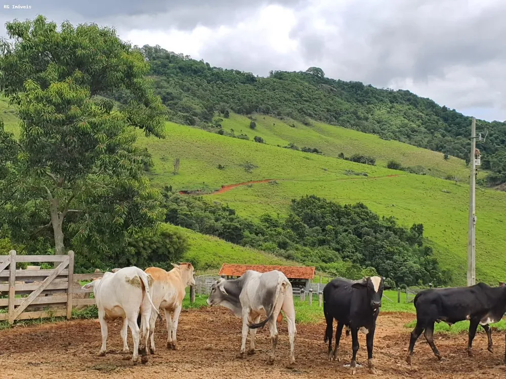 Fazenda, 145 hectares - Foto 14