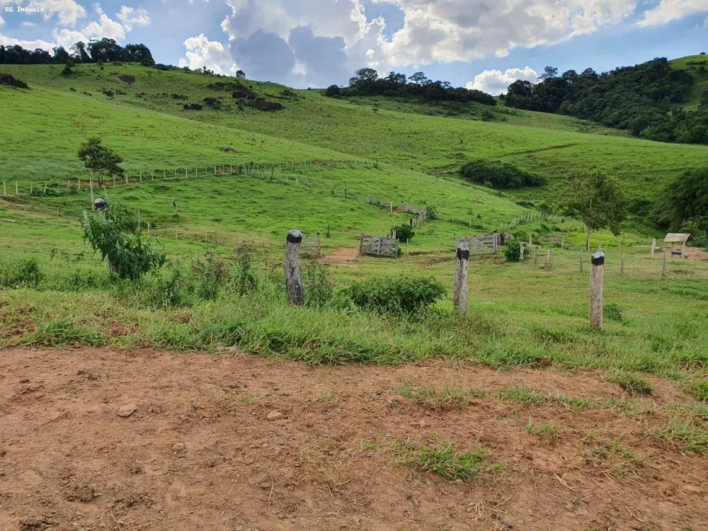 Fazenda, 145 hectares - Foto 3