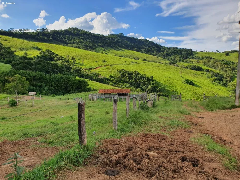 Fazenda, 145 hectares - Foto 2