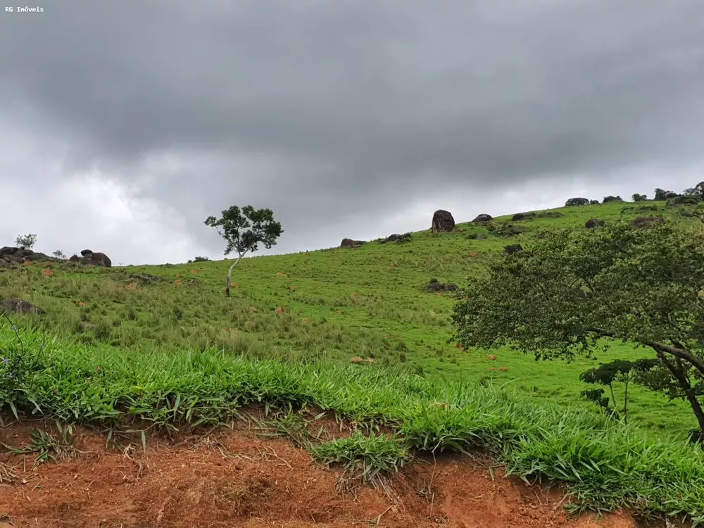 Fazenda, 145 hectares - Foto 4