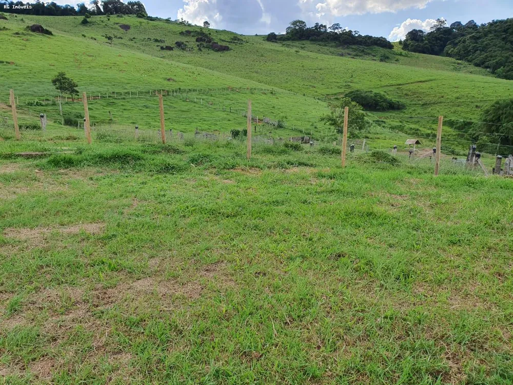 Fazenda, 145 hectares - Foto 5