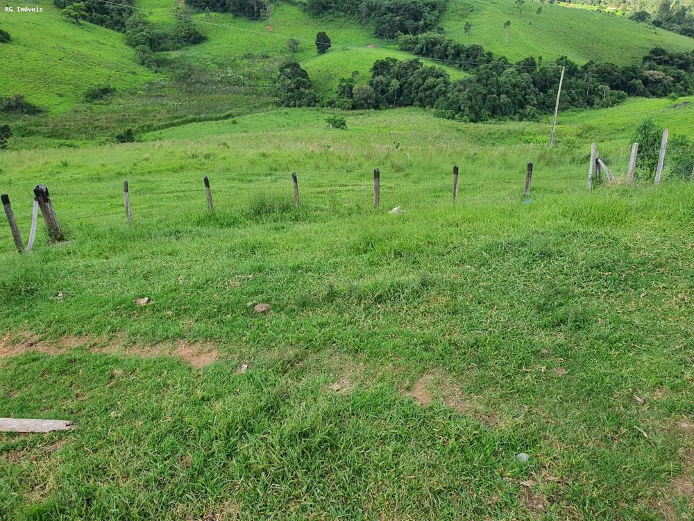 Fazenda, 145 hectares - Foto 4