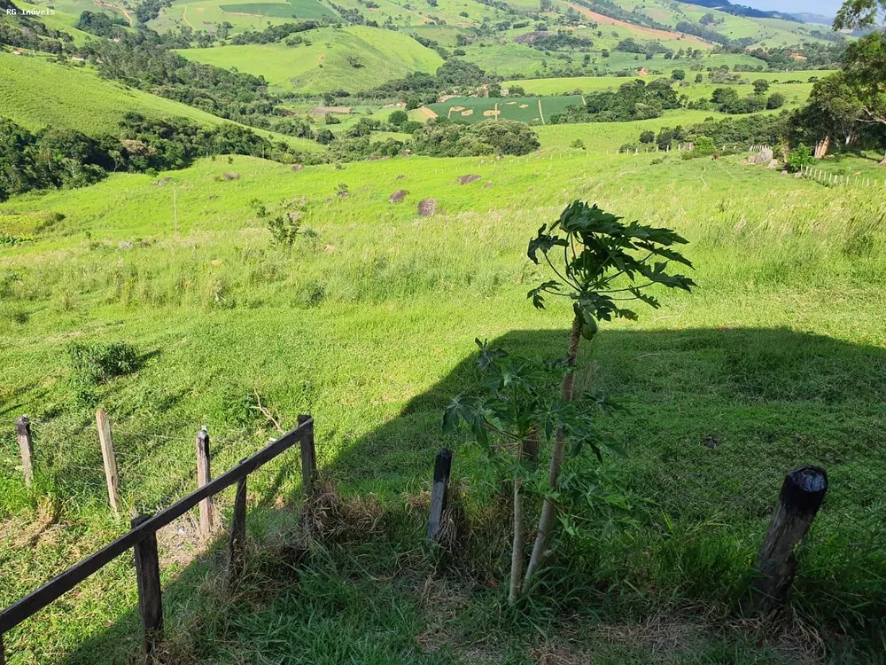 Fazenda, 145 hectares - Foto 3