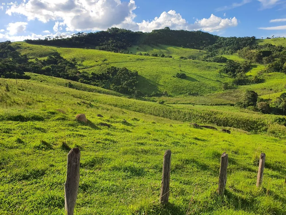 Fazenda, 145 hectares - Foto 12