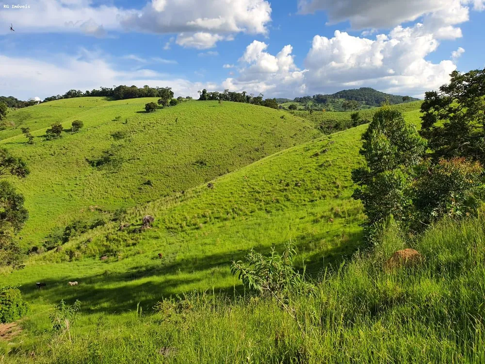 Fazenda, 145 hectares - Foto 11