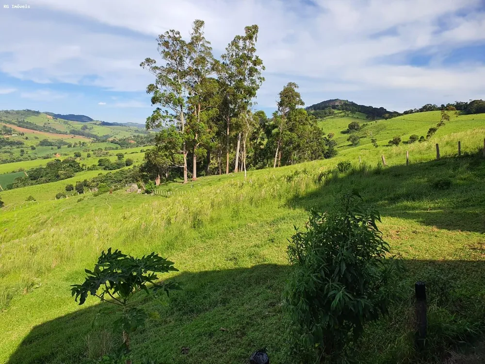 Fazenda, 145 hectares - Foto 9