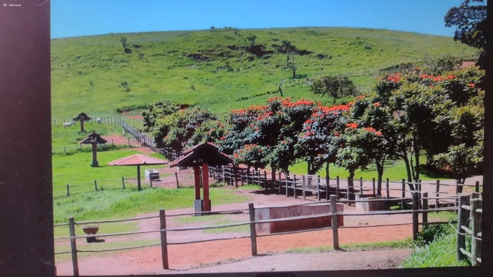 Fazenda, 4 quartos - Foto 9