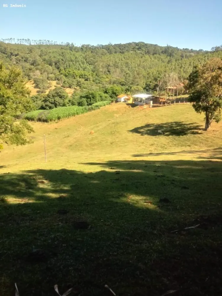 Sítio, 3 quartos, 25 hectares - Foto 8