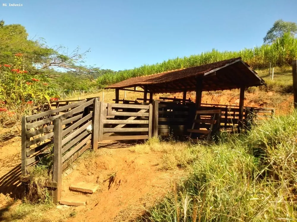 Sítio, 3 quartos, 25 hectares - Foto 3