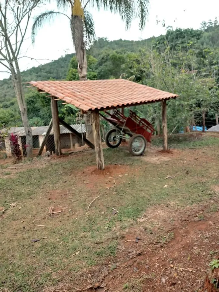 Sítio, 3 quartos, 25 hectares - Foto 12