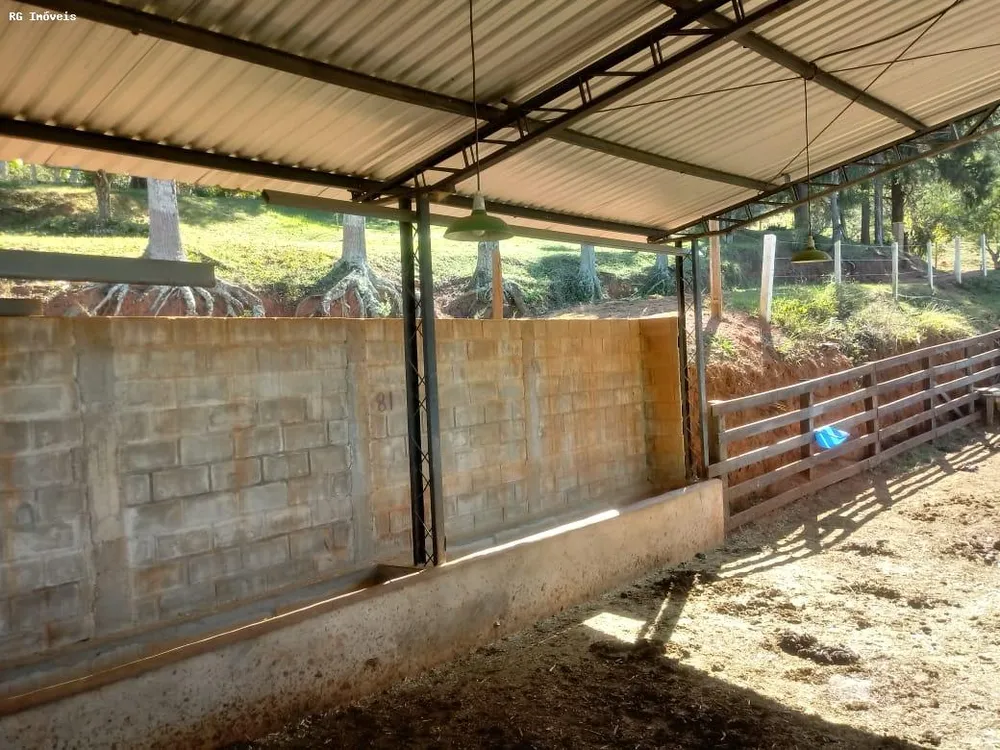 Sítio, 3 quartos, 25 hectares - Foto 2