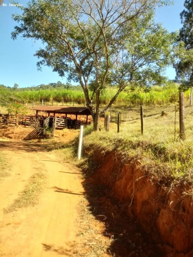 Sítio, 3 quartos, 25 hectares - Foto 9