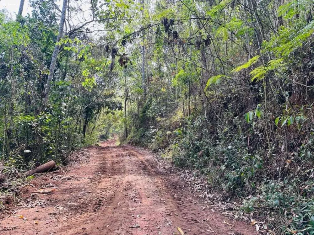 Fazenda, 3 quartos - Foto 16
