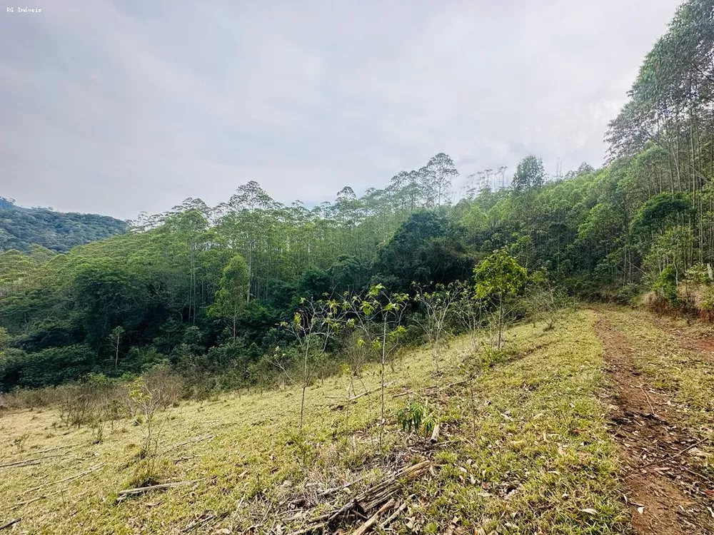 Fazenda, 3 quartos - Foto 4