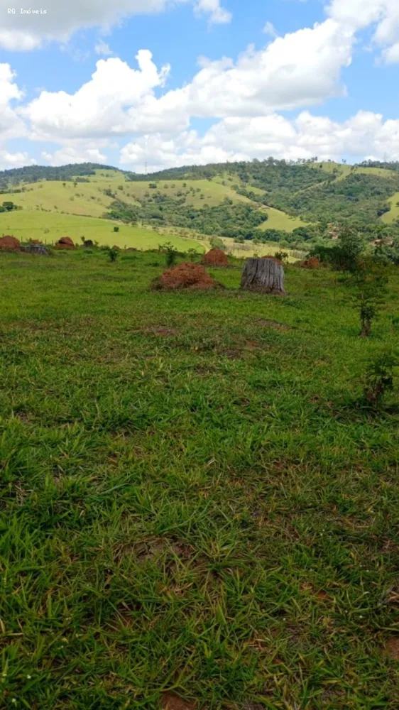 Terreno, 2 hectares - Foto 2