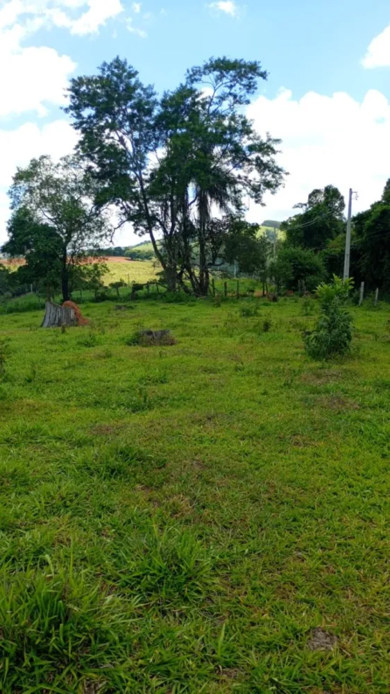 Terreno, 2 hectares - Foto 4