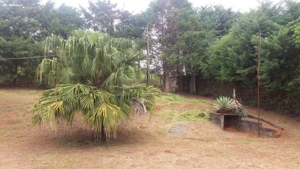 Chácara, 2 quartos, 3000 m² - Foto 12