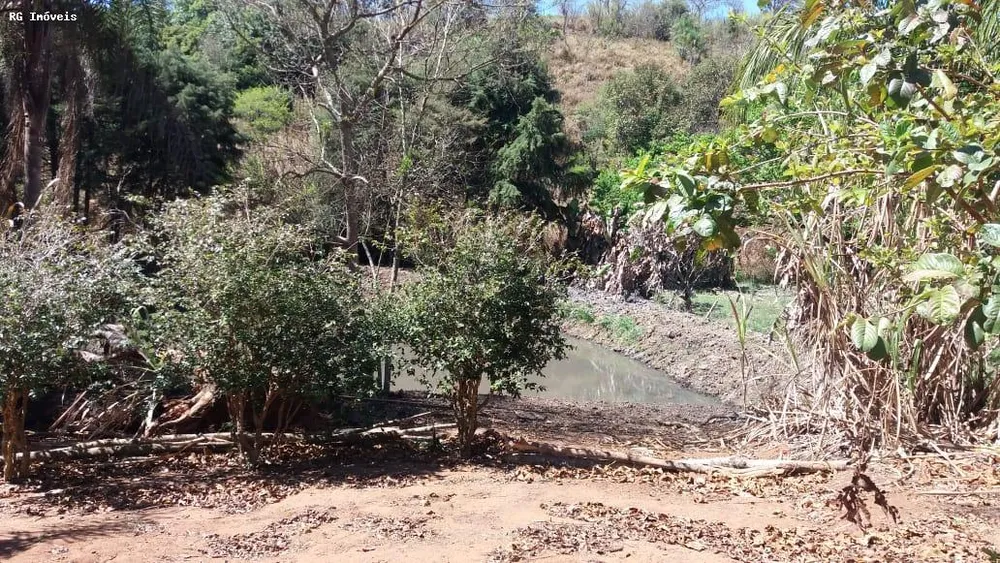 Chácara, 2 quartos, 3000 m² - Foto 7