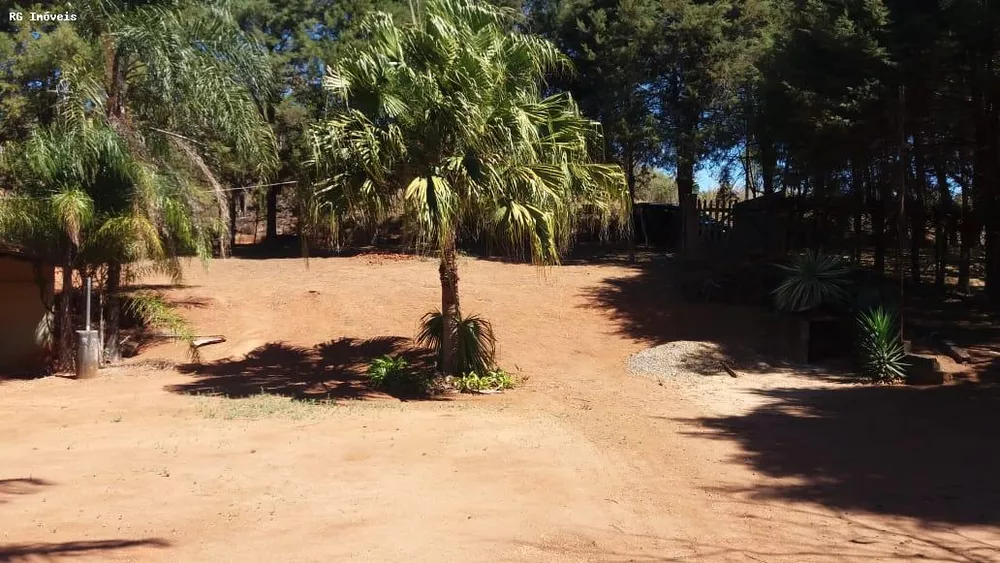 Chácara, 2 quartos, 3000 m² - Foto 4