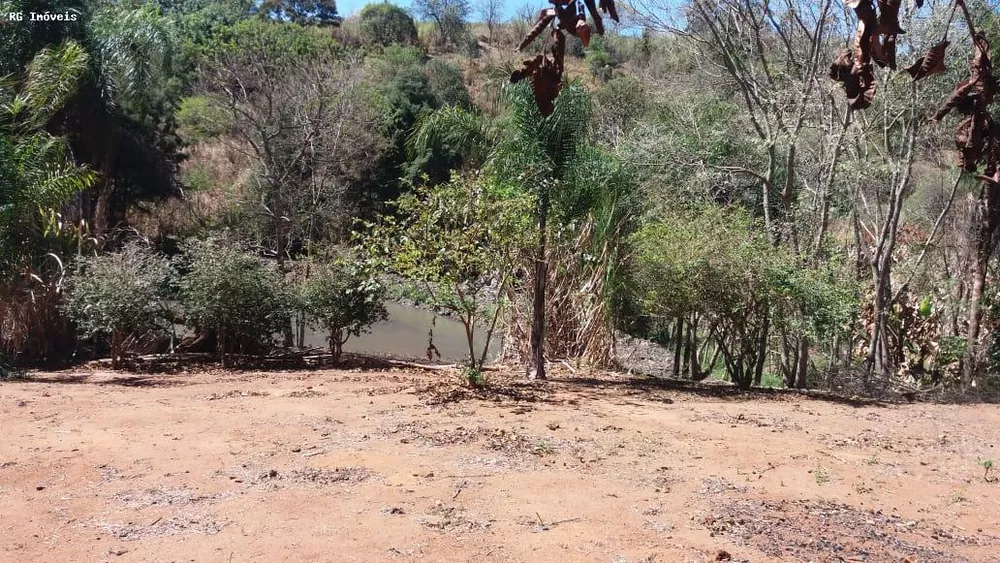Chácara, 2 quartos, 3000 m² - Foto 3