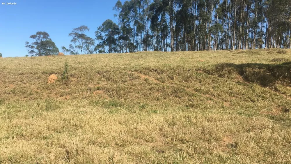 Sítio, 3 quartos, 6 hectares - Foto 1