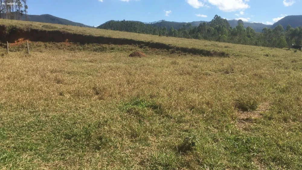 Sítio, 3 quartos, 6 hectares - Foto 10