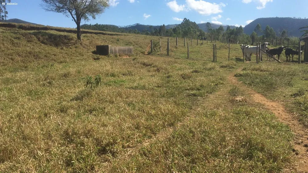 Sítio, 3 quartos, 6 hectares - Foto 11