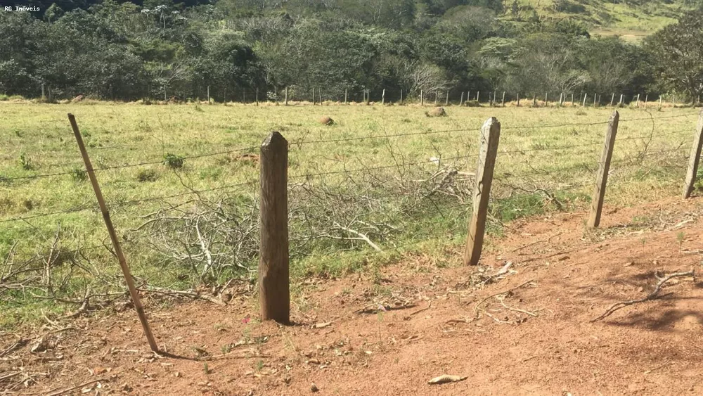 Sítio, 3 quartos, 6 hectares - Foto 4