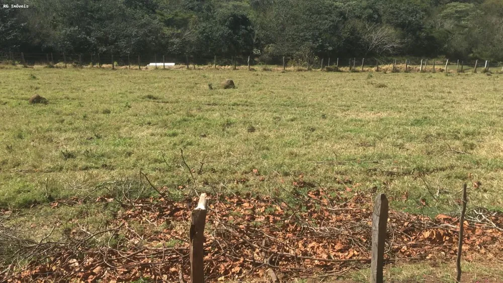 Sítio, 3 quartos, 6 hectares - Foto 12