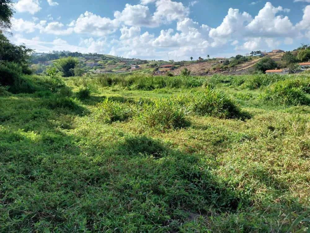Terreno, 15 hectares - Foto 5