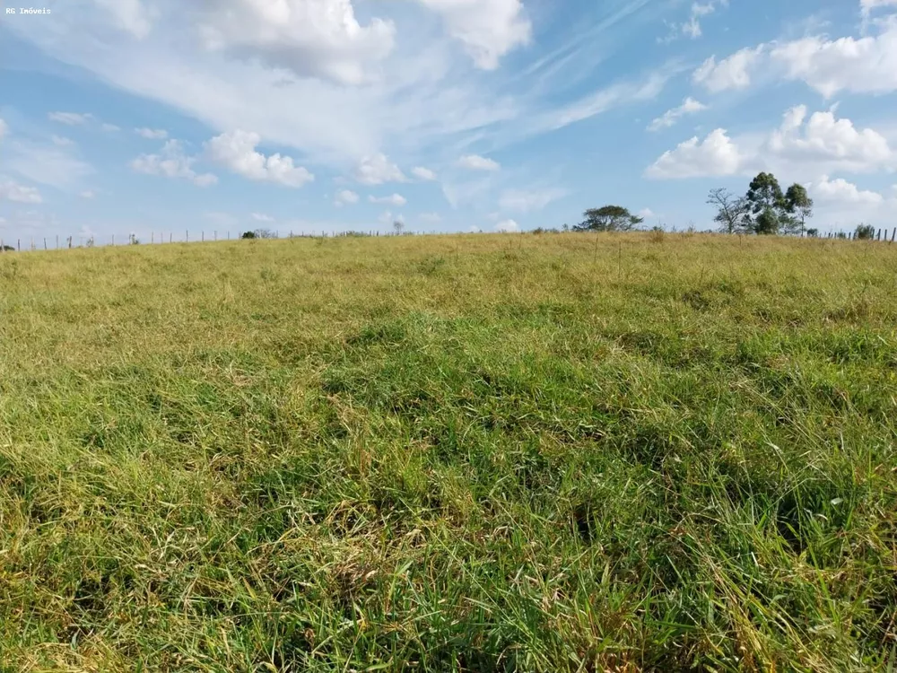 Terreno, 15 hectares - Foto 1