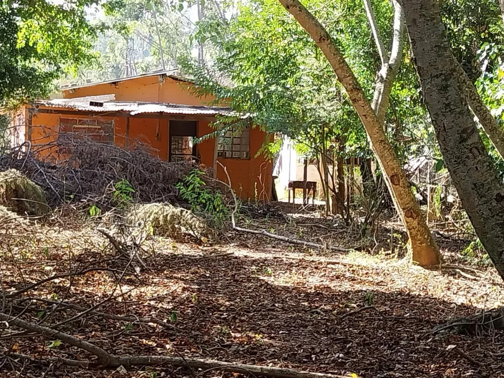 Terreno, 15 hectares - Foto 2