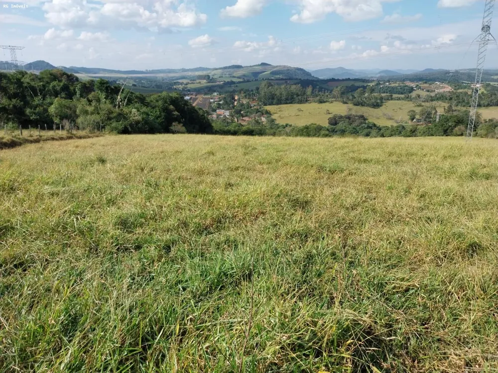 Terreno, 15 hectares - Foto 8