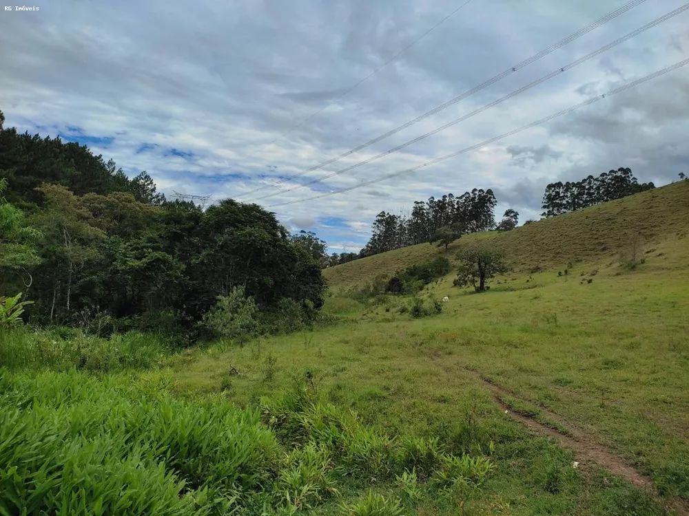 Sítio, 2 quartos, 61 hectares - Foto 4