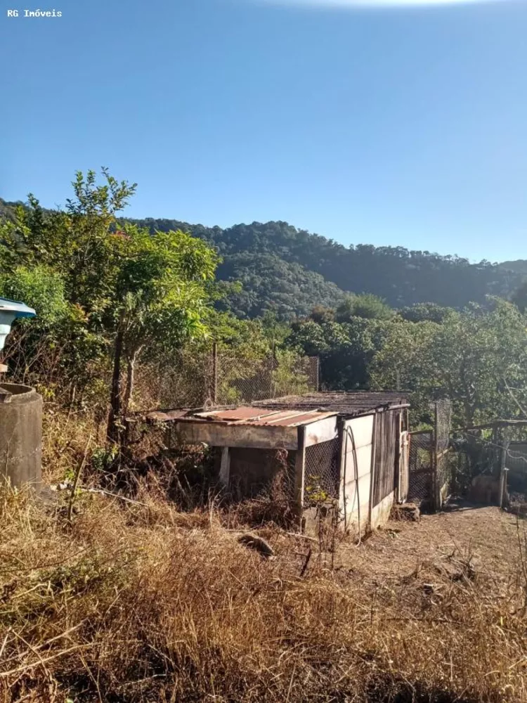 Sítio, 2 quartos, 61 hectares - Foto 1