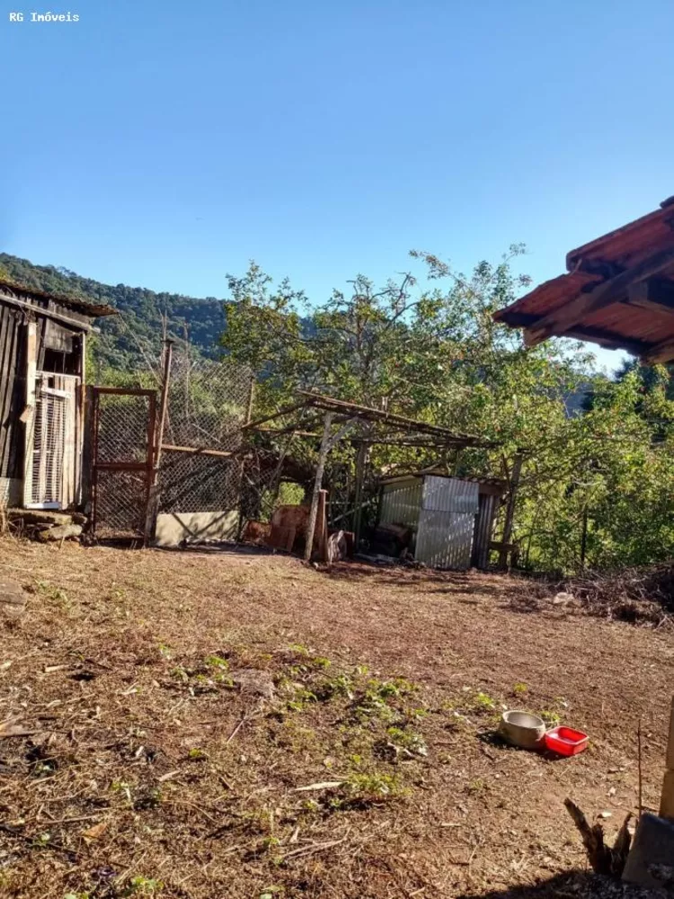 Sítio, 2 quartos, 61 hectares - Foto 2