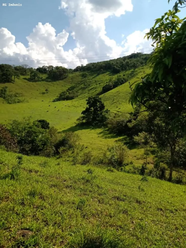 Sítio, 2 quartos, 61 hectares - Foto 3