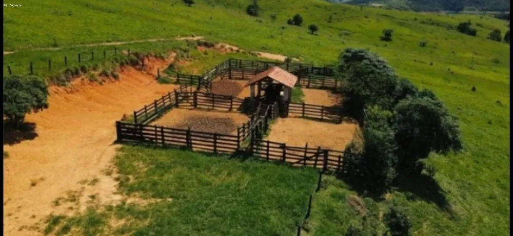 Fazenda, 298 hectares - Foto 9