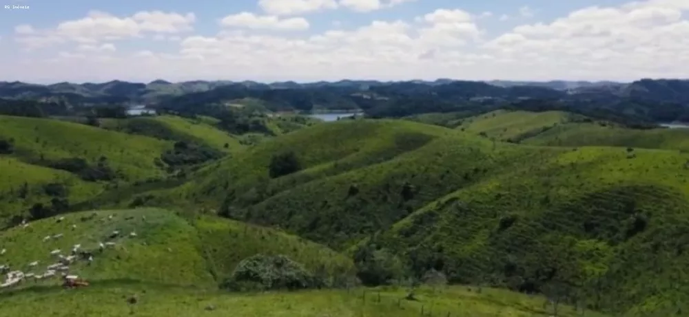 Fazenda, 298 hectares - Foto 2