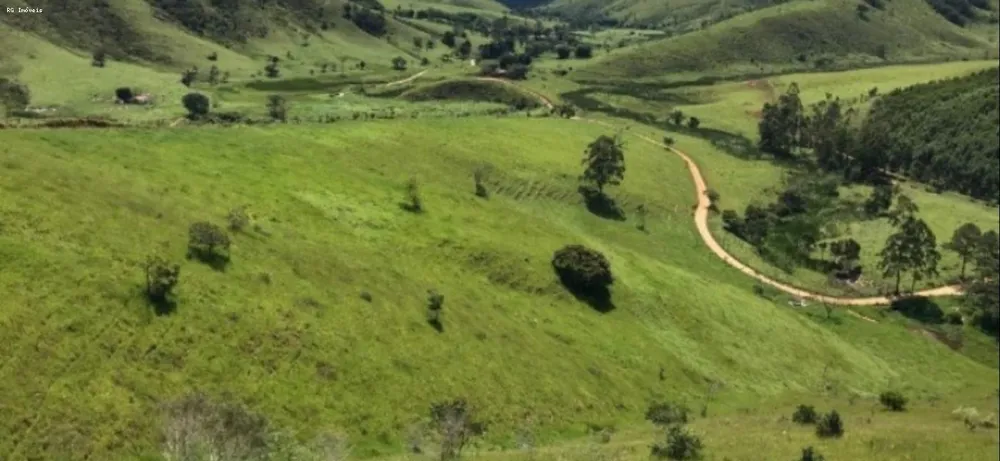 Fazenda, 298 hectares - Foto 1