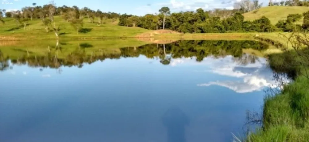 Fazenda, 298 hectares - Foto 4