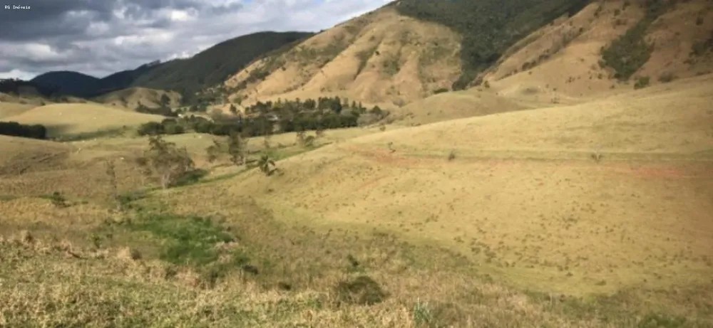 Fazenda, 298 hectares - Foto 8