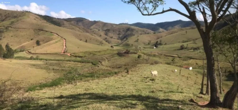 Fazenda, 298 hectares - Foto 1