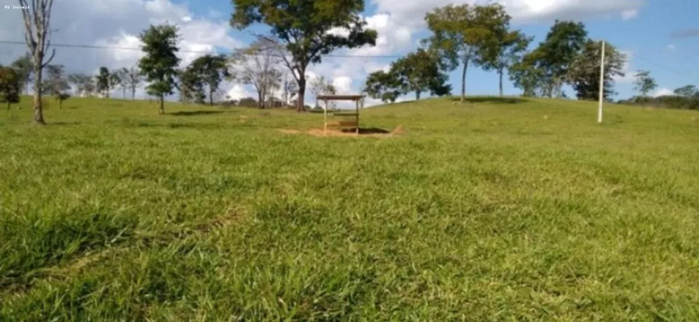 Fazenda, 298 hectares - Foto 3