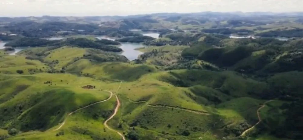 Fazenda, 298 hectares - Foto 6