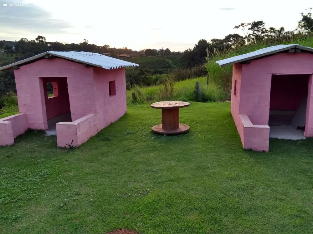 Sítio, 3 quartos, 5 hectares - Foto 6